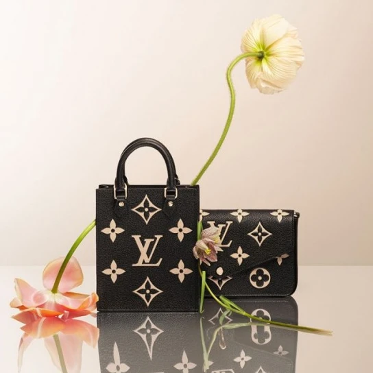 Mythick Louis Vuitton Félicie Pochette Gray M69977 Black M80482