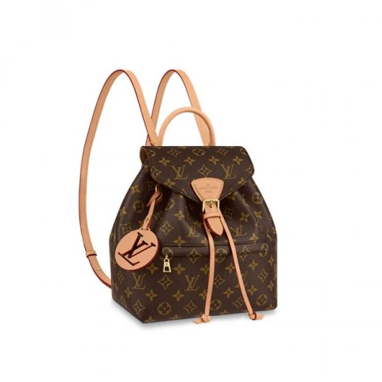 Louis Vuitton M45501 Montsouris PM