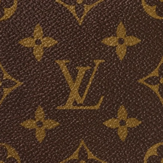 Top lv Louis Vuitton Neo M42224
