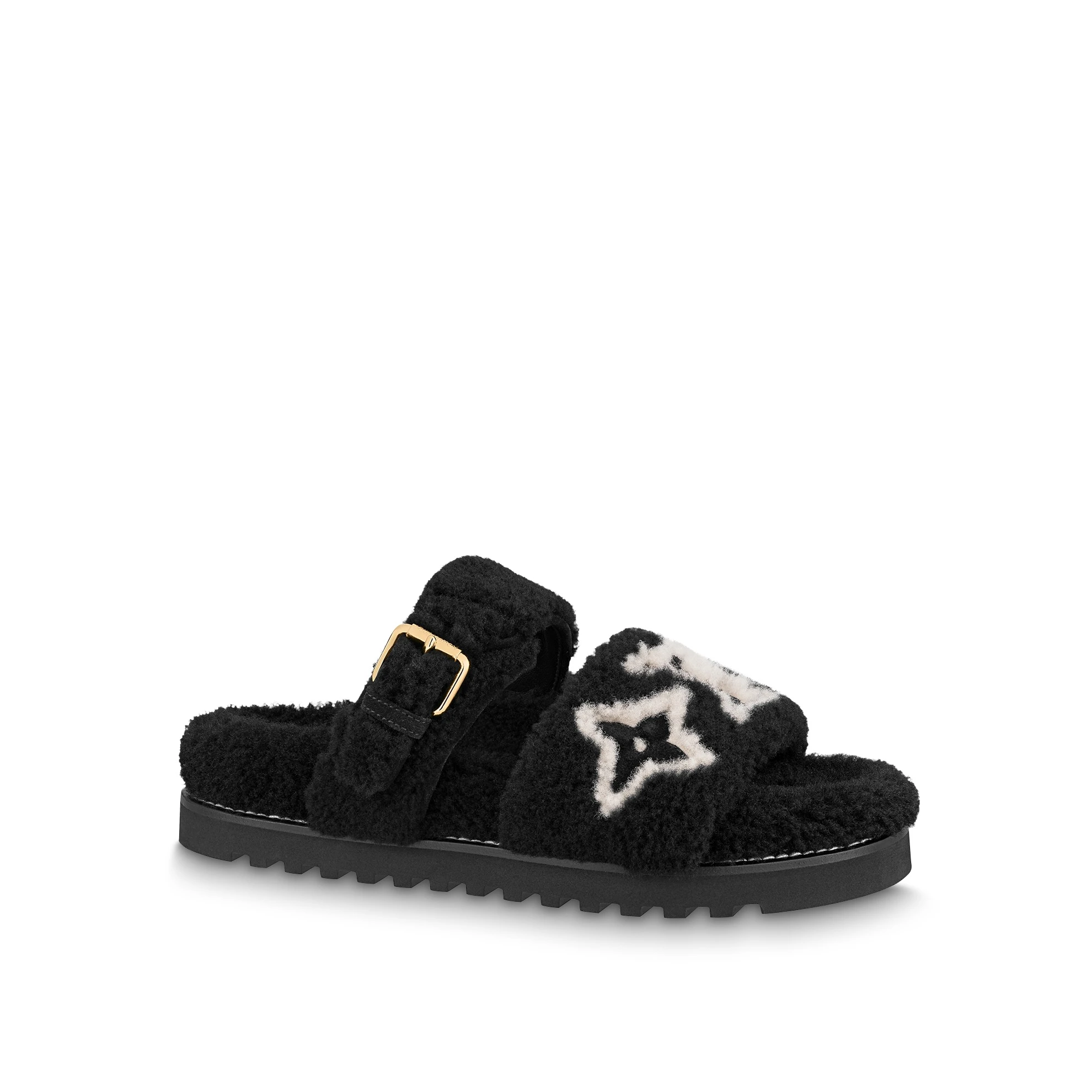 Louis Vuitton Paseo Flat Comfort Mules Black 1AACR9