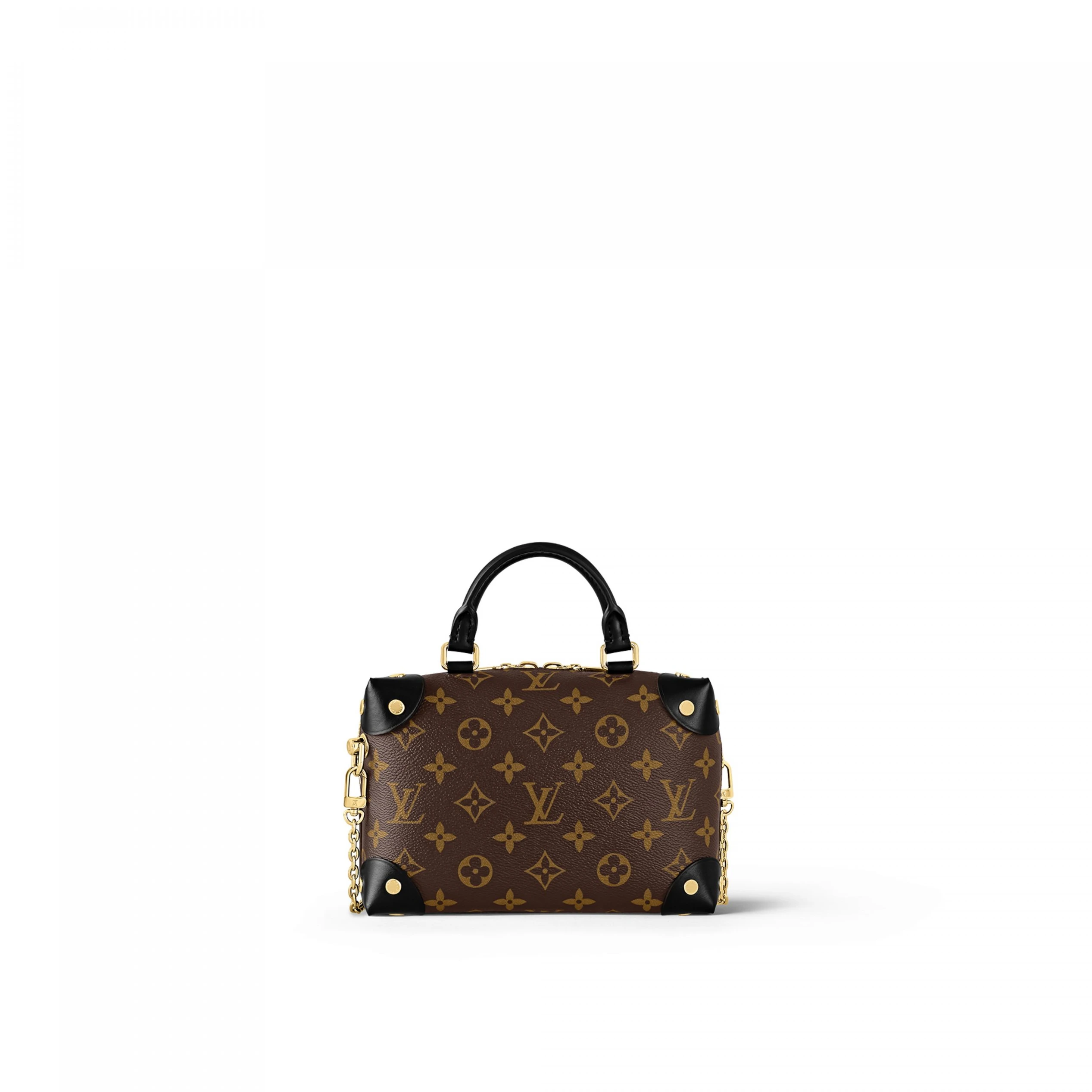 Replica bags Louis Vuitton Petite Malle Souple M45571