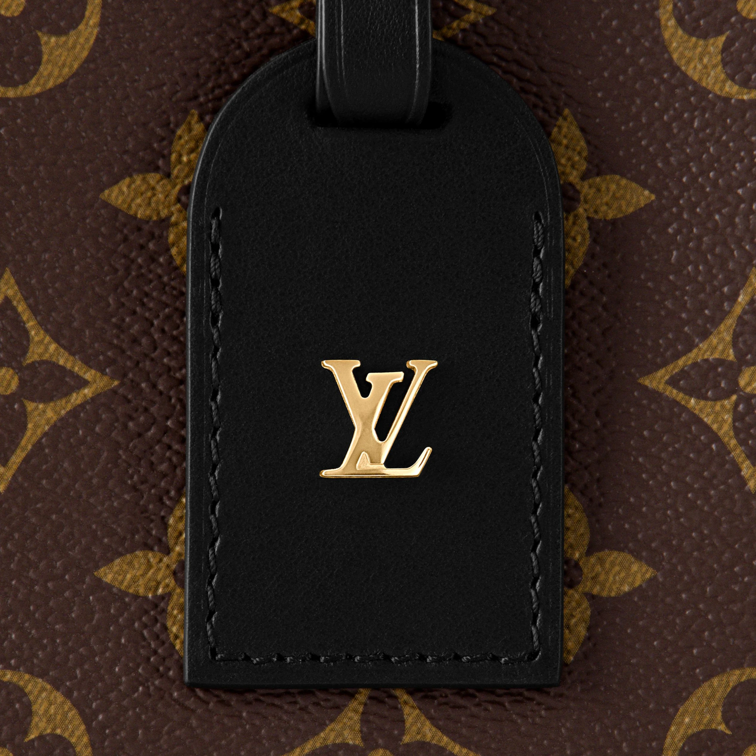 Replica bags Louis Vuitton Petite Malle Souple M45571