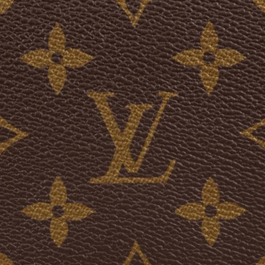 Replica bags lv Louis Vuitton Speedy 25 M41109