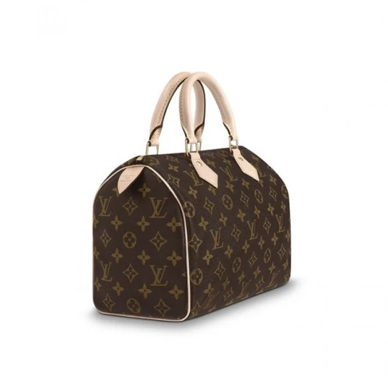 Replica bags lv Louis Vuitton Speedy 25 M41109