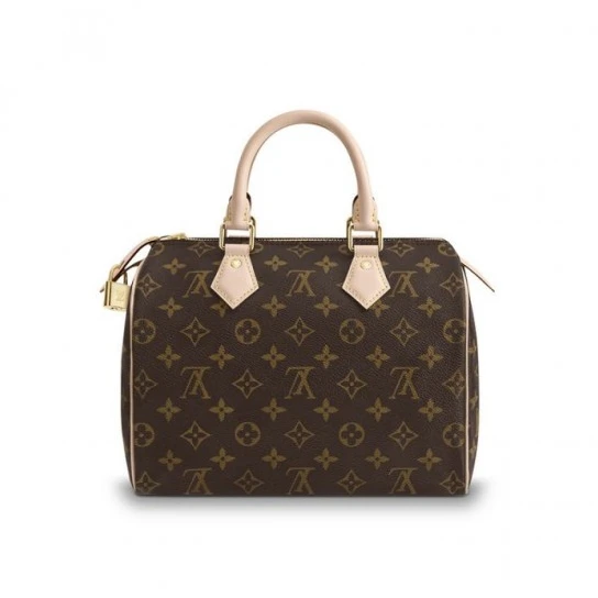 Replica bags lv Louis Vuitton Speedy 25 M41109