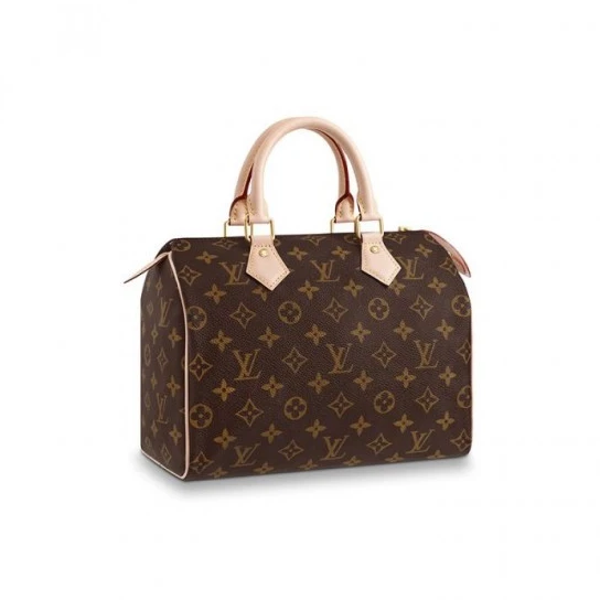 Louis Vuitton Speedy 25 M41109