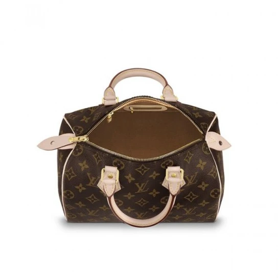 Replica bags lv Louis Vuitton Speedy 25 M41109