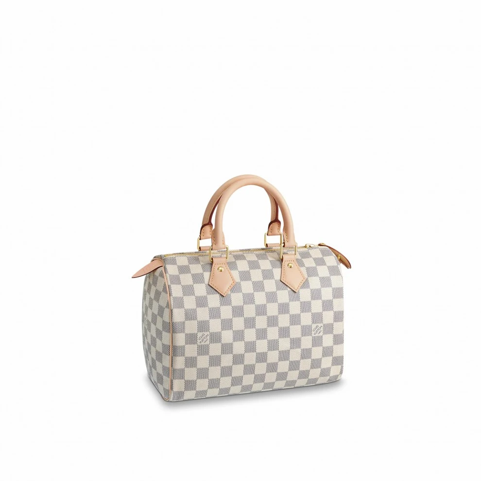 Louis Vuitton Speedy 25 N41371