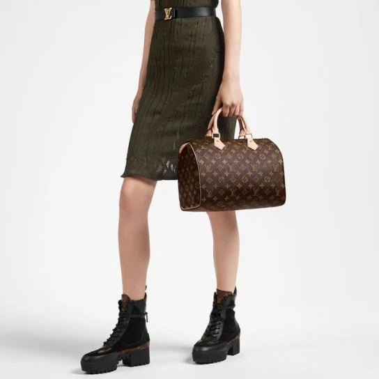 Replica bags lv Louis Vuitton Speedy 30 M41108