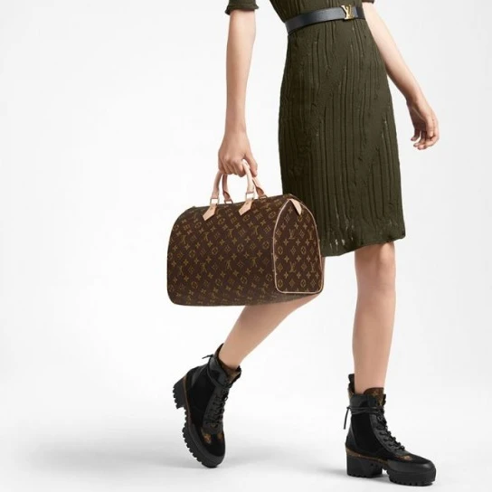 Louis Vuitton Speedy 35 M41107