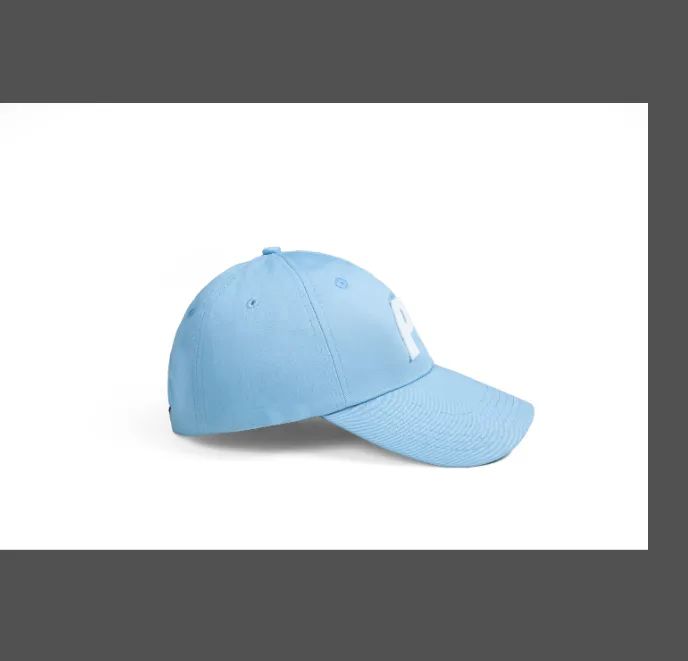 PALACE baseball cap