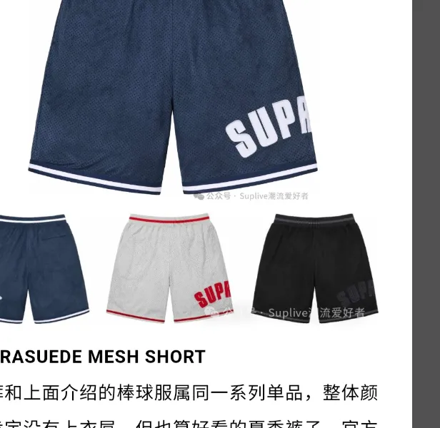 suede mesh shorts 24SS ULTRASUDE MESH SHORT