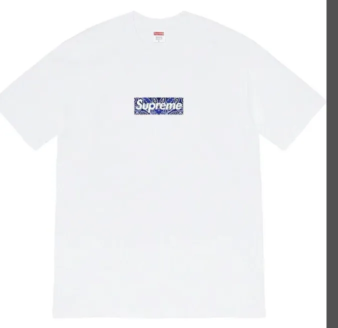 19FW Bandana Box Logo Tee Cashew Blossom Bogo Short sleeved T-shirt Black White S M L XL