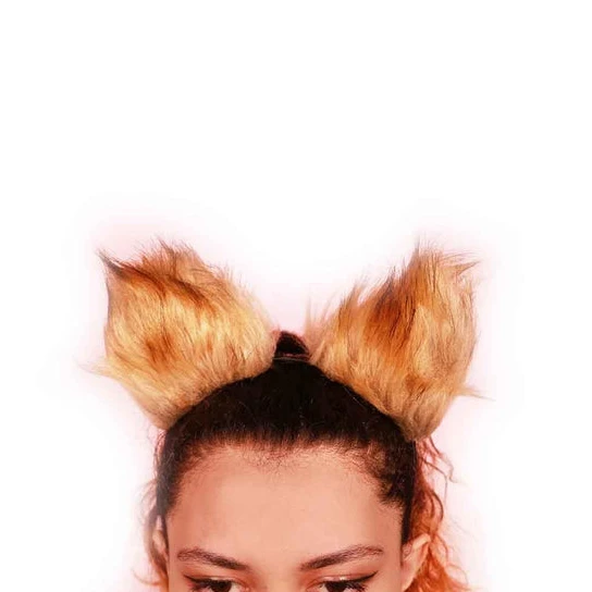 Brown Pet Tiger Ears DiscreetChoice 6041