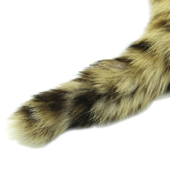 Sleek Steel Raccoon Plug, 8