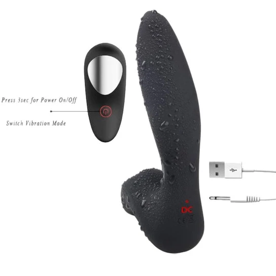 Wireless Anal Vibrating Prostate Massager ReadyForPlay 2386