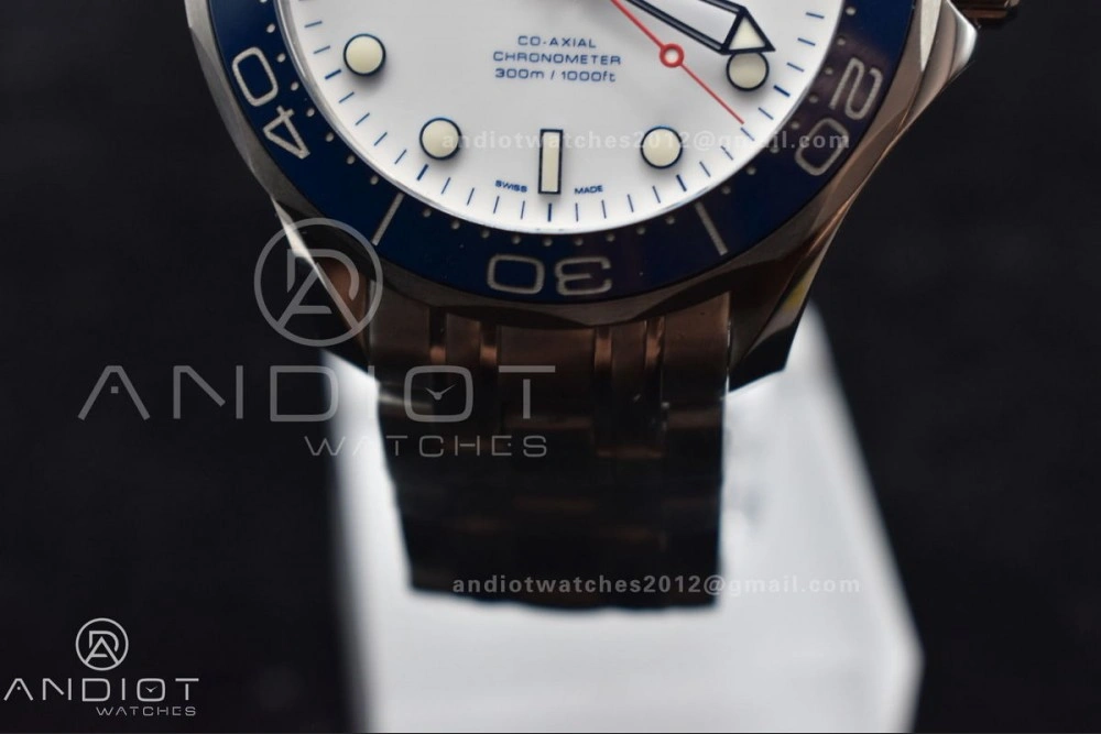 Seamaster Diver 300M SS 