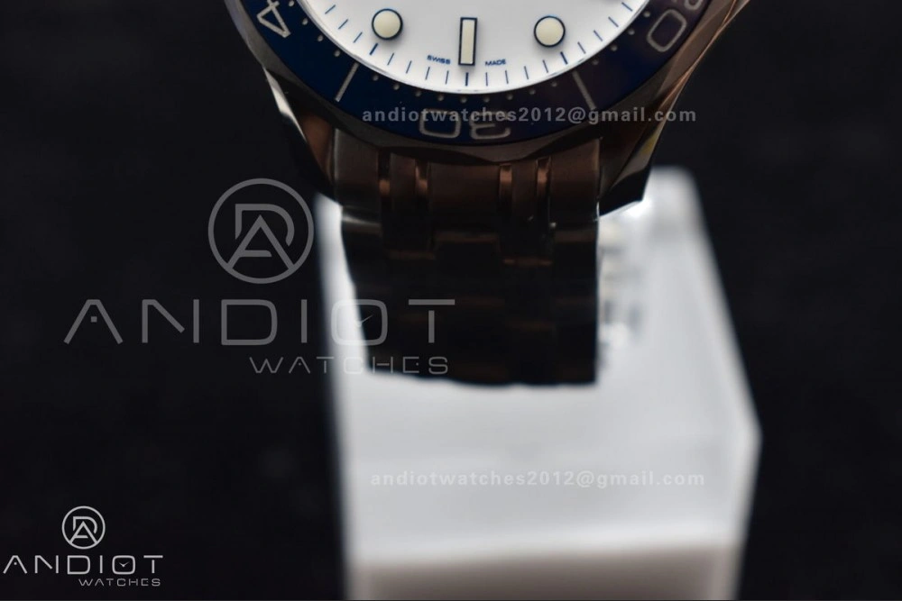 Seamaster Diver 300M SS 