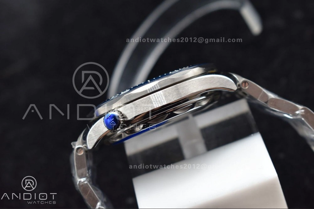 Seamaster Diver 300M SS 