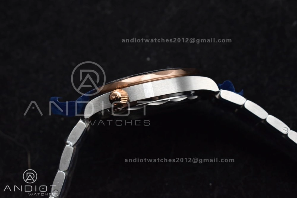 Seamaster Diver 300M SS RG VSF 1:1 Best Edition Black Ceramic Black Dial on SS Bracelet A8800