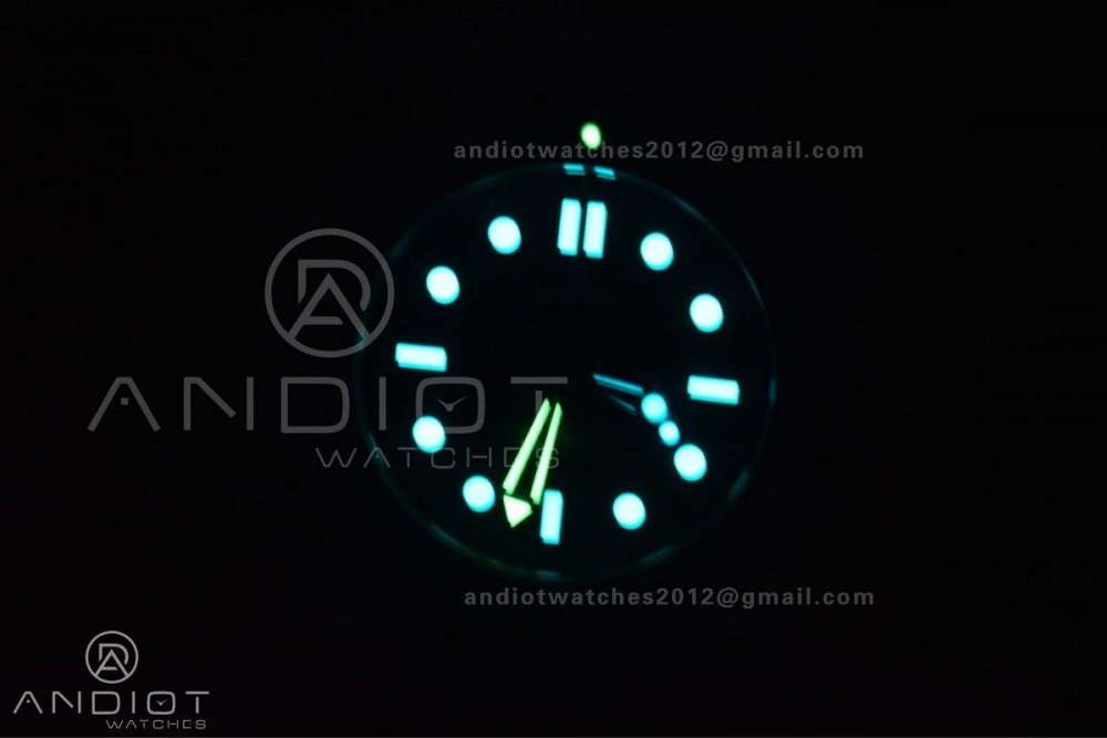 Seamaster Diver 300M VSF 1:1 Best Edition Black Ceramic Black Dial On SS Bracelet A8800