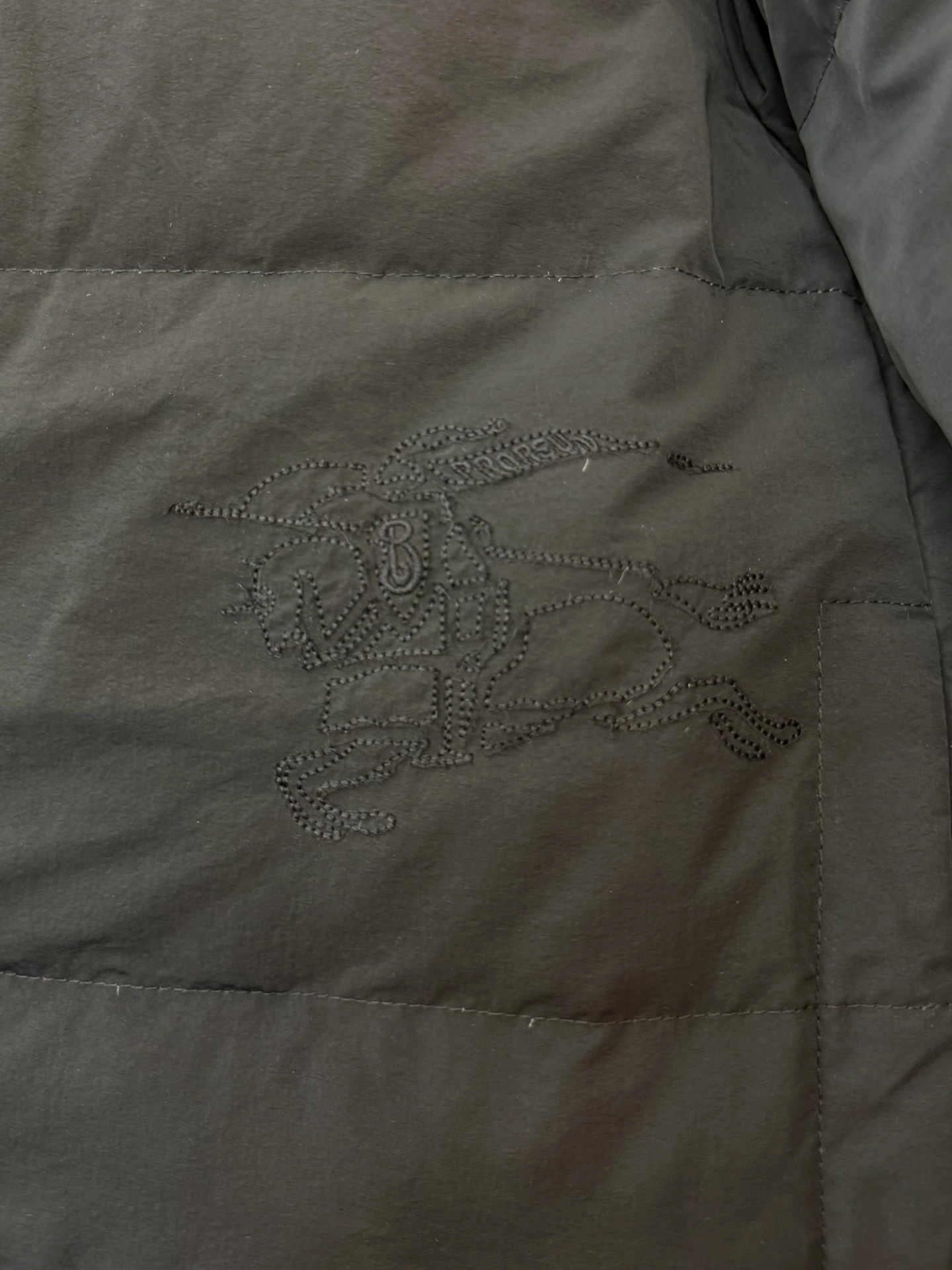 Burberry Down Jackets
