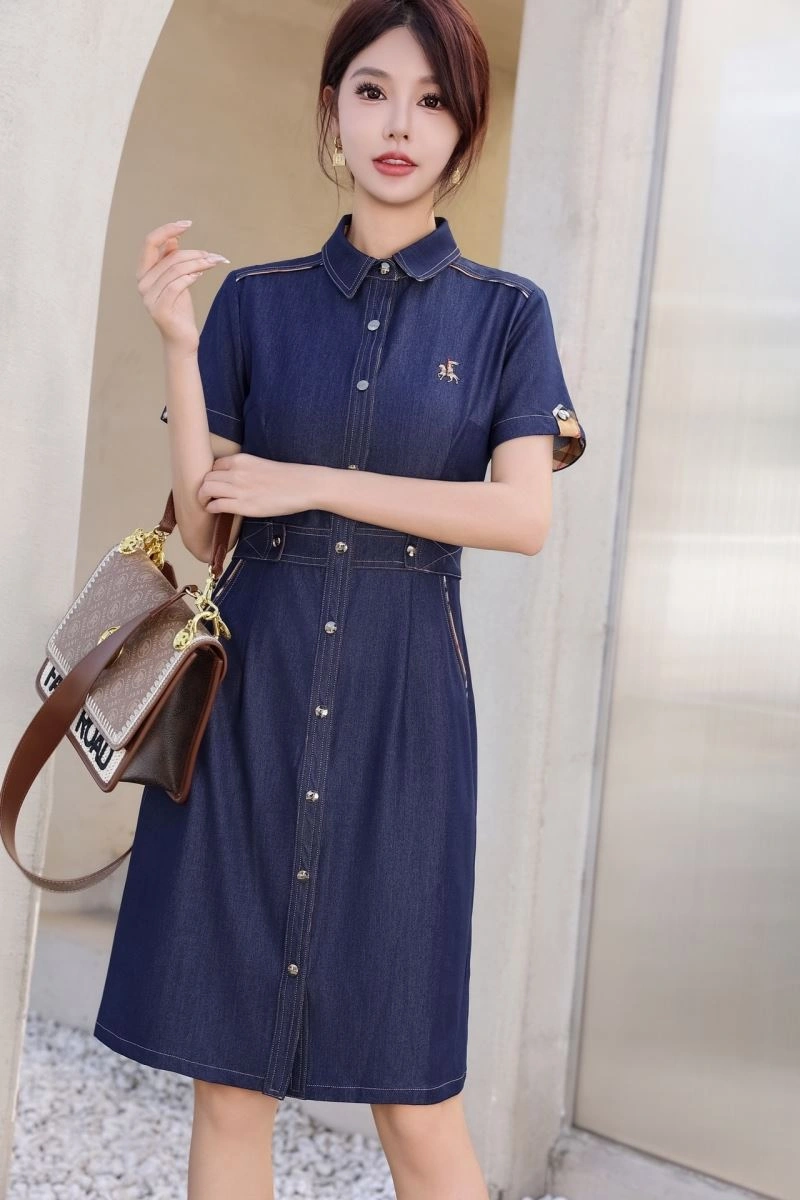 Burberry Dress