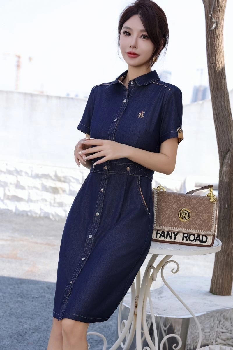Burberry Dress