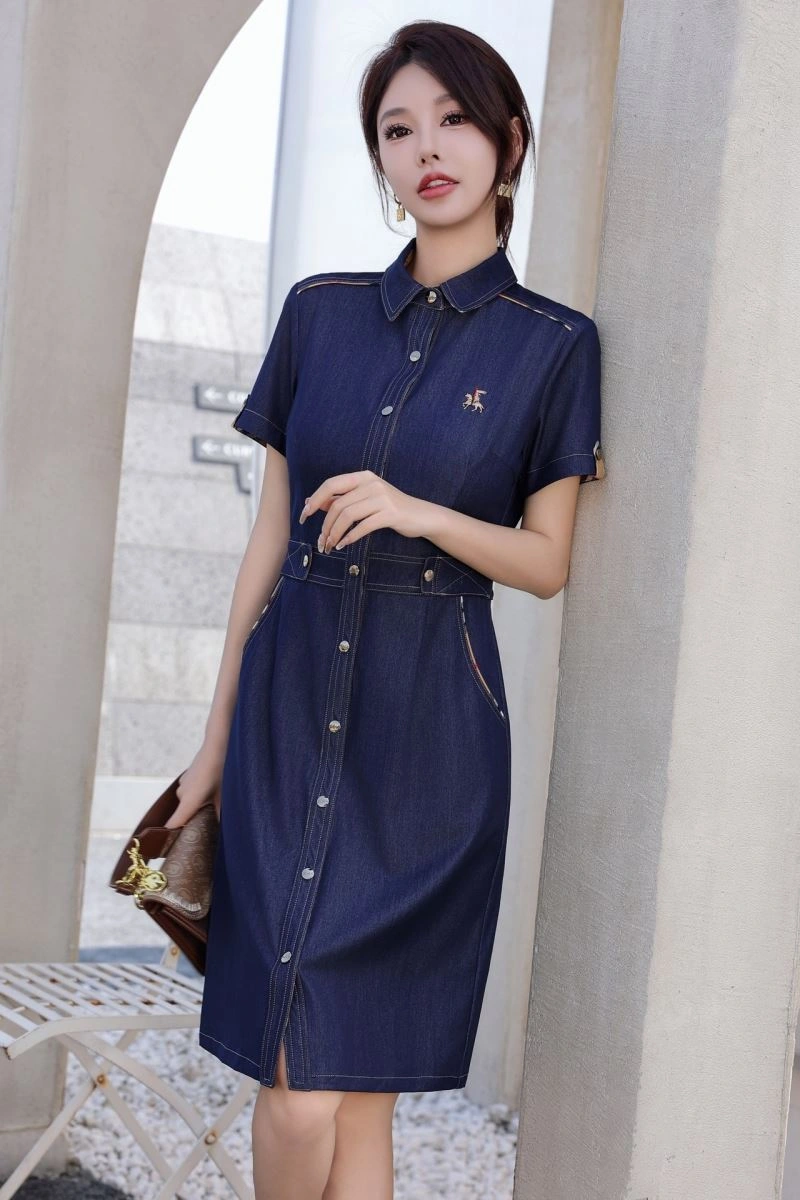 Burberry Dress
