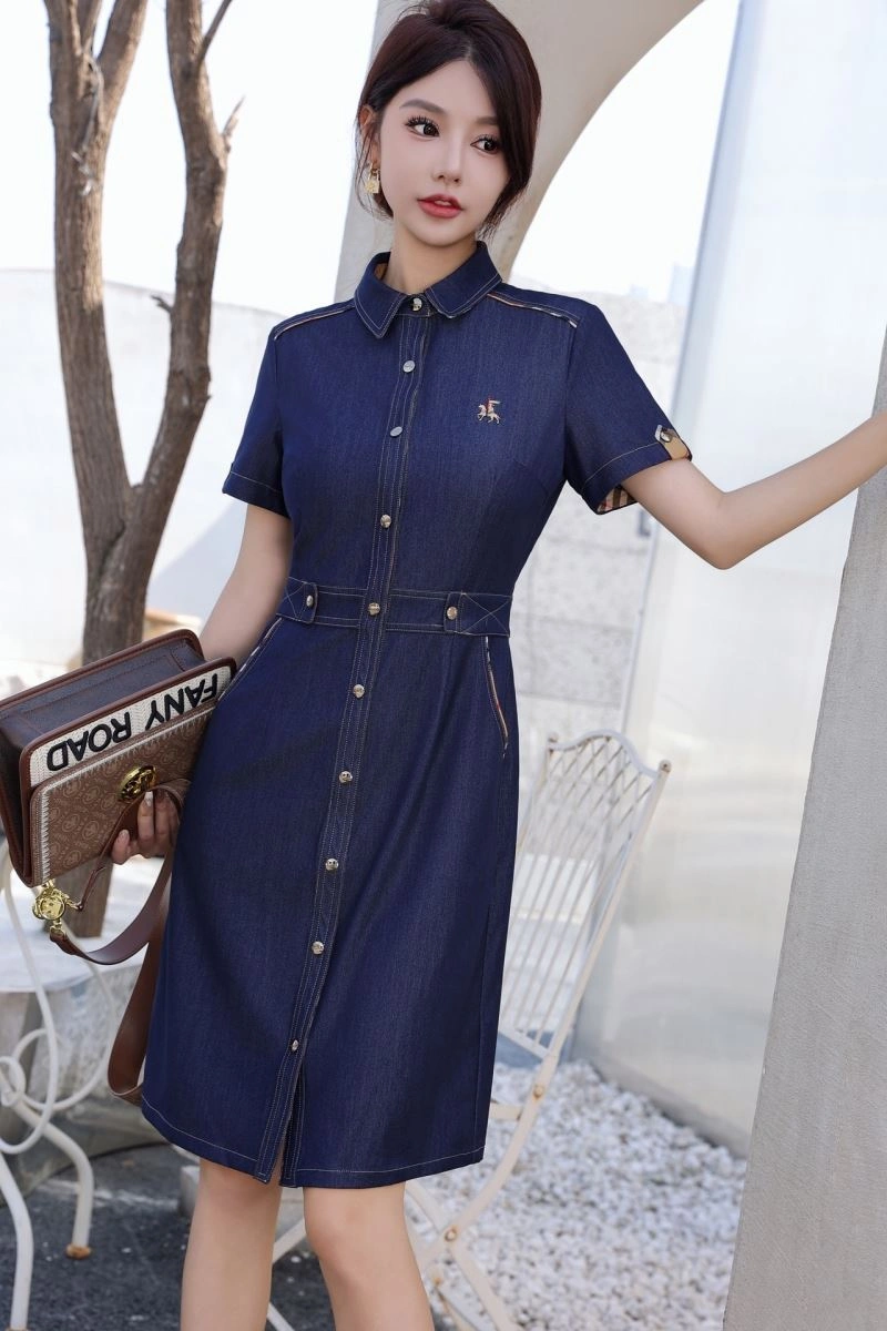 Burberry Dress