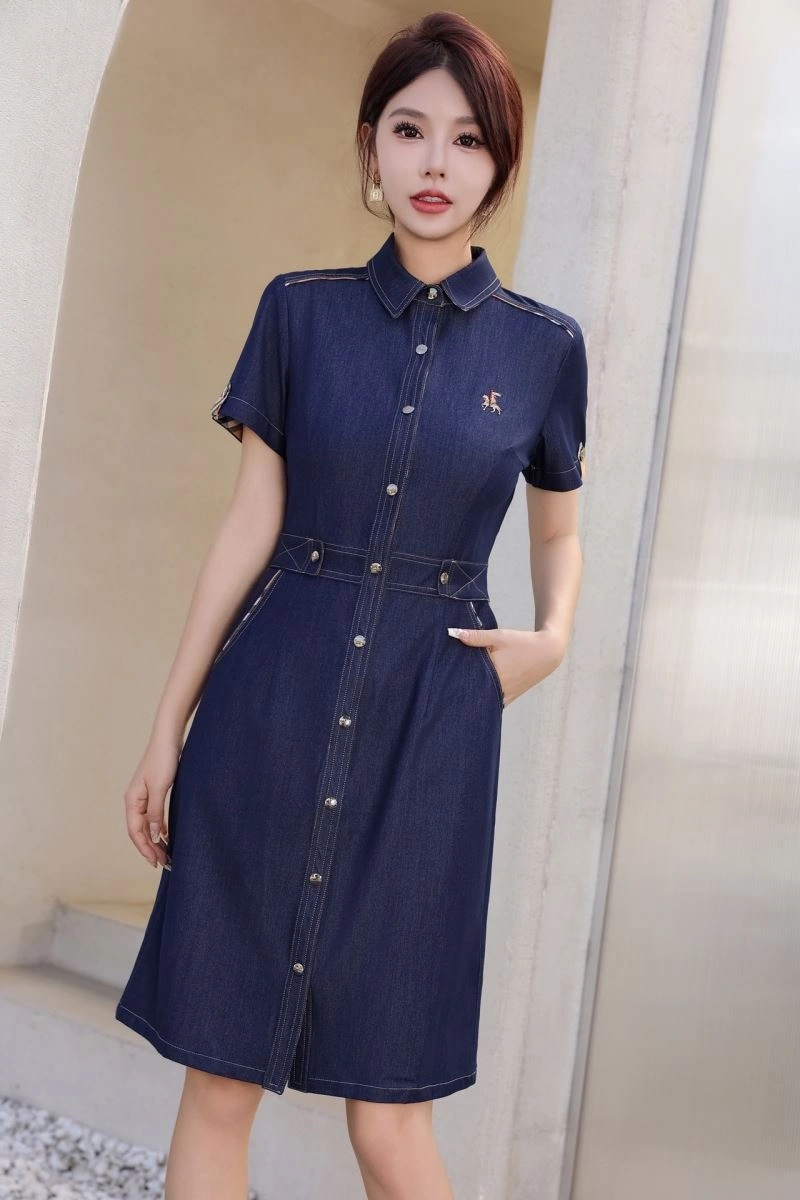 Burberry Dress