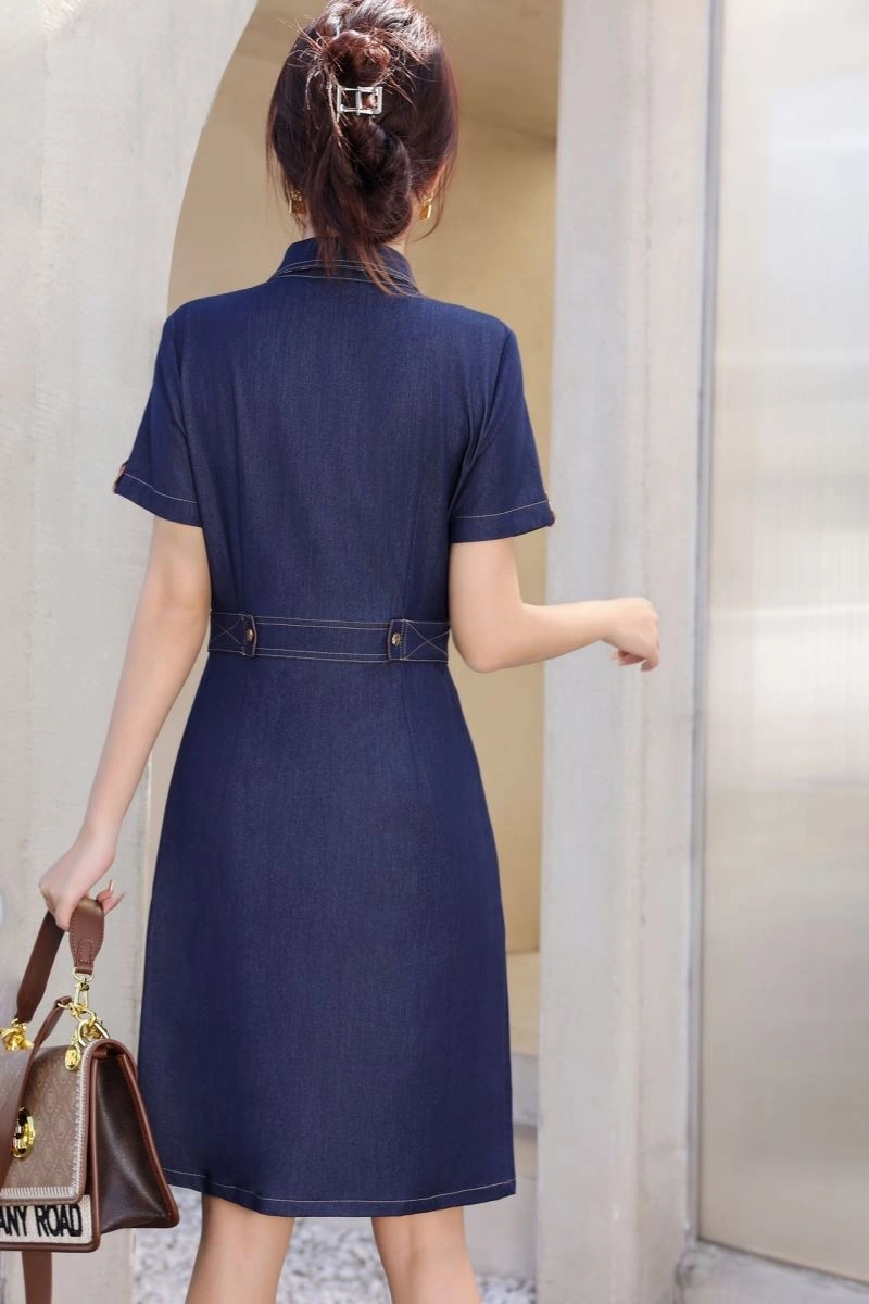 Burberry Dress
