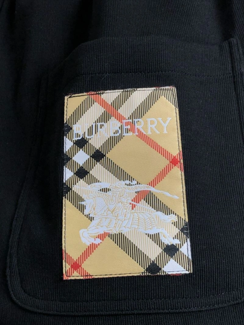 Burberry Long Pants