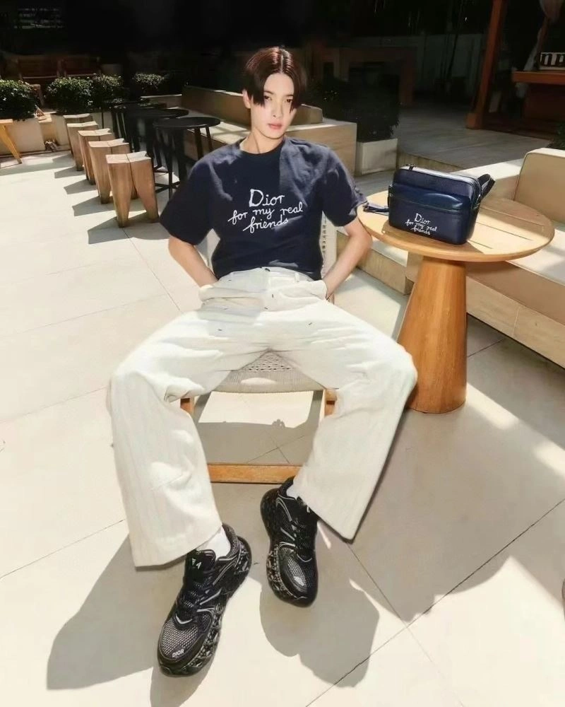 Christian Dior T-Shirts