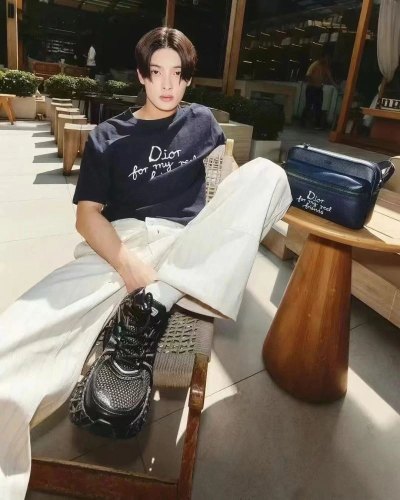 Christian Dior T-Shirts