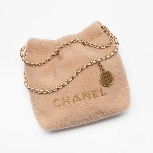 CHANEL 22 MINI HANDBAG-1