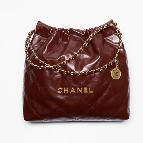 Chanel 22 Mini Handbag Dark Brown-1