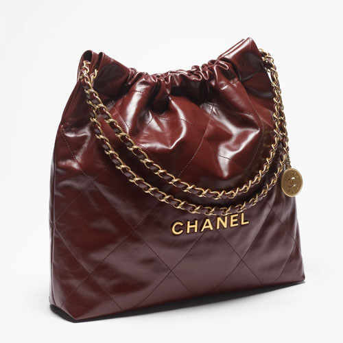 Chanel 22 Mini Handbag Dark Brown-2