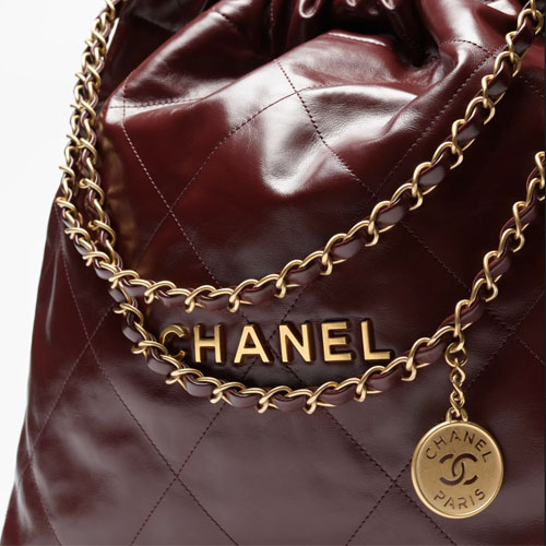 Chanel 22 Mini Handbag Dark Brown-4