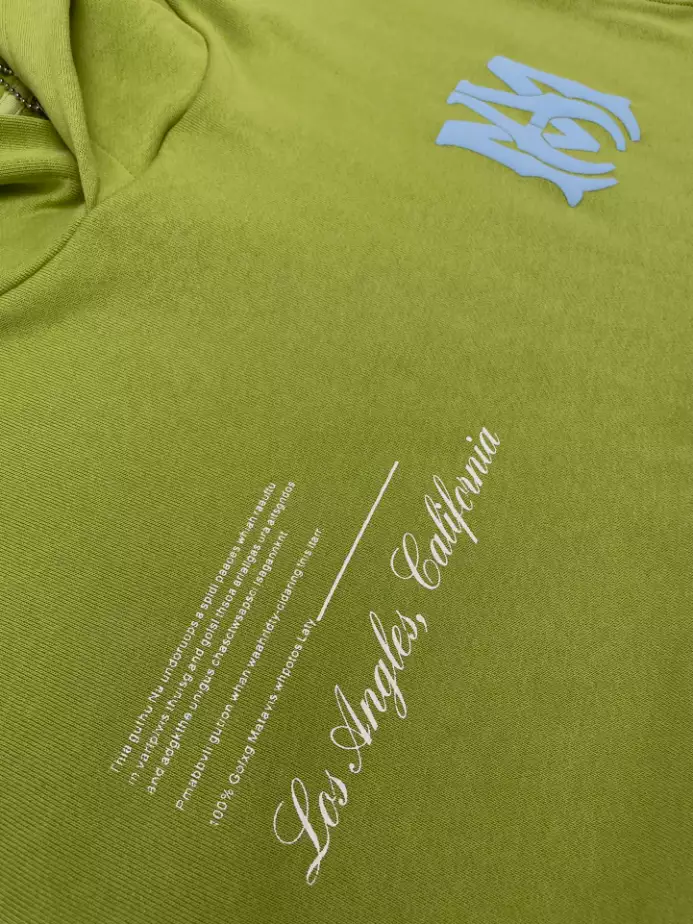 AllSeason 9940 Amiri Hoodie – SAV016