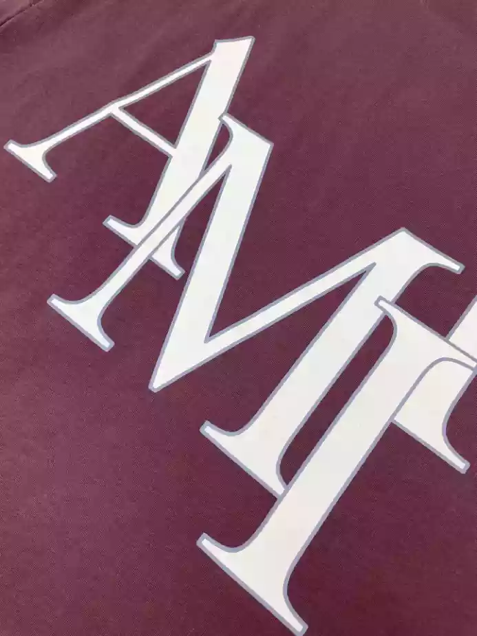 Amiri Cotton T-Shirt – AMS063 GoAnywhere 6864