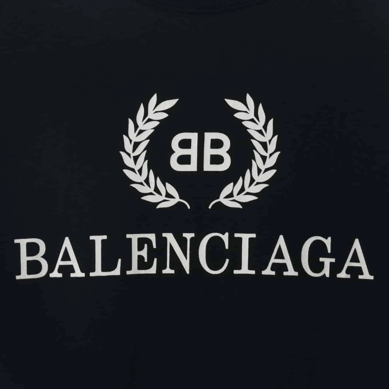 BALENCIAGA WHEAT EAR SHORT SLEEVE T SHIRT Fashionable 8812
