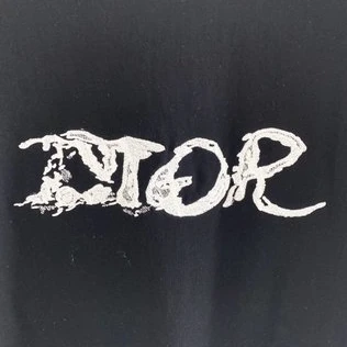 CD Peter Doig’s T-SHIRT – CDS031 Trendy 6726