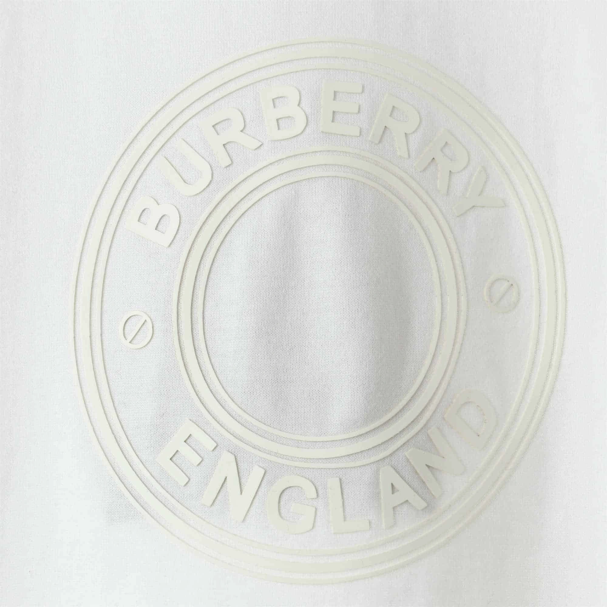 DailyWear 5221 Burberry Logo-Print Cotton T-Shirt – BBRS11