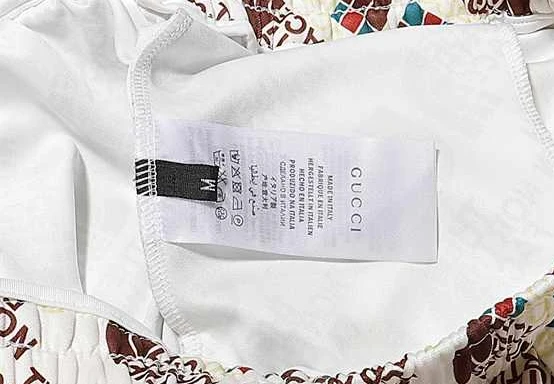 DailyWear 9483 GUCCI x THE NORTH FACE SWIM SHORTS – SW033