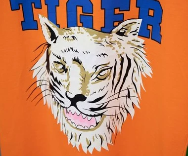 EasyMatch 4612 GUCCI TIGER T-SHIRT – GCS119