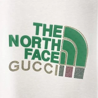 GUCCI x THE NORTH FACE COLLABORATION T-SHIRT – GCS125 WellDesigned 4746
