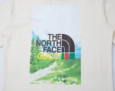GUCCI x THE NORTH FACE COLLABORATION T-SHIRT – GCS144 WellDesigned 4520