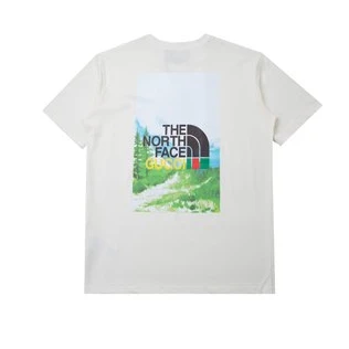 GUCCI x THE NORTH FACE COLLABORATION T-SHIRT – GCS144 WellDesigned 4520