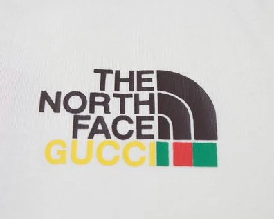 GUCCI x THE NORTH FACE COLLABORATION T-SHIRT – GCS144 WellDesigned 4520